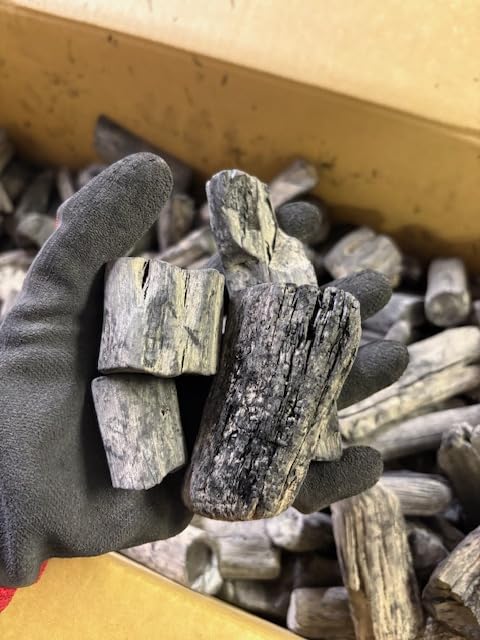 白炭 15kg 樫並 Amazon.co.jp: 特選 紀州備長炭（樫並）15kg ウバメガシ 和歌山県木炭